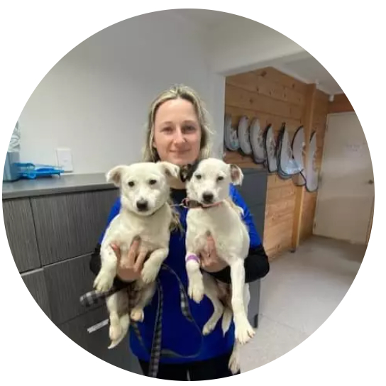 Emma is the Head Veterinary Nurse at CareVets Gisborne. She's Bachelor's Degree qualified and leads the team of highly skilled and competent vet nurses.